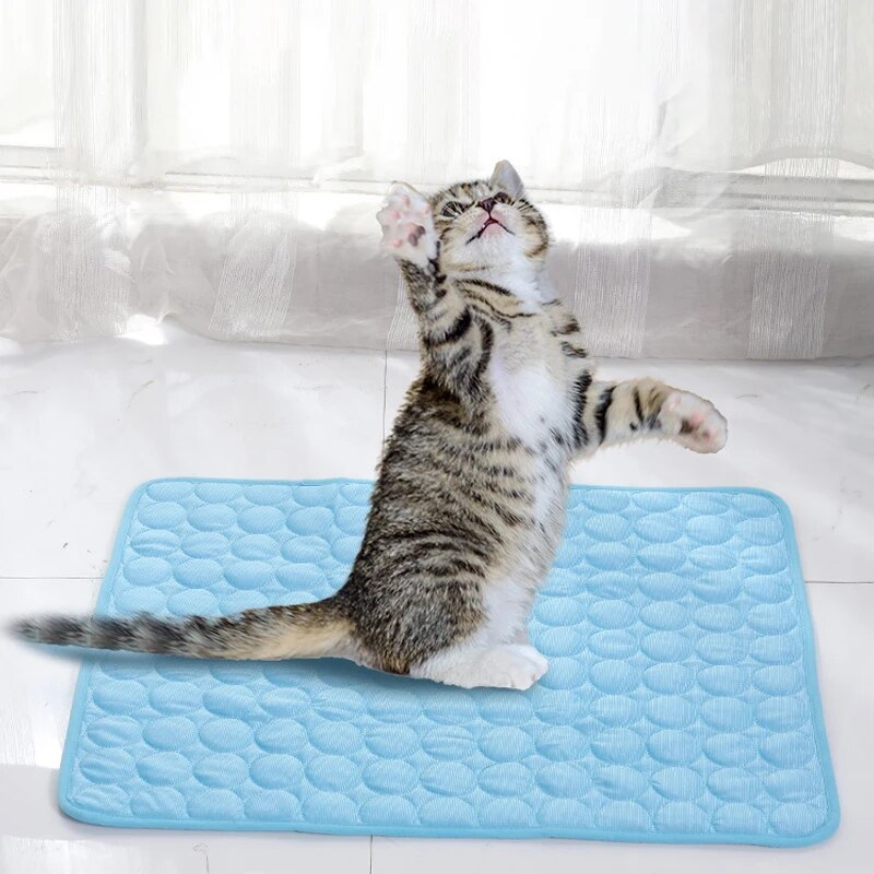 الحيوانات الأليفة الجليد الحصي - مراجعة Cooling Blanket Hot Sleepers وسعره